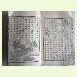 JAPANESE NATURAL HISTORY WOODBLOCK PRINT BOOK.